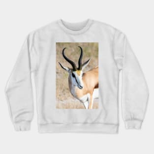 Springbok. Crewneck Sweatshirt